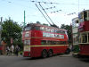 image P9110110