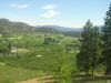 image P7050071