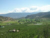 image P7050072