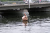image P8270486