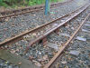 image P1010126