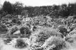 image n04_2_4