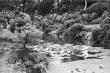 image n04_2_5