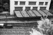 image n04_3_1
