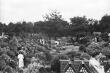 image n04_3_5