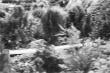 image n04_4_1