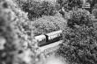 image n04_4_3