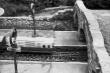 image n04_4_5