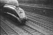 image n12_4_4